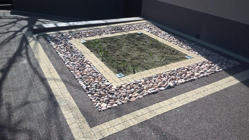 Efektowna nawierzchnia z kostki betonowej w tonacji szarości i beżu, obramowana kamieniami, otaczająca kwadratowy klomb z młodymi roślinami i oświetleniem.