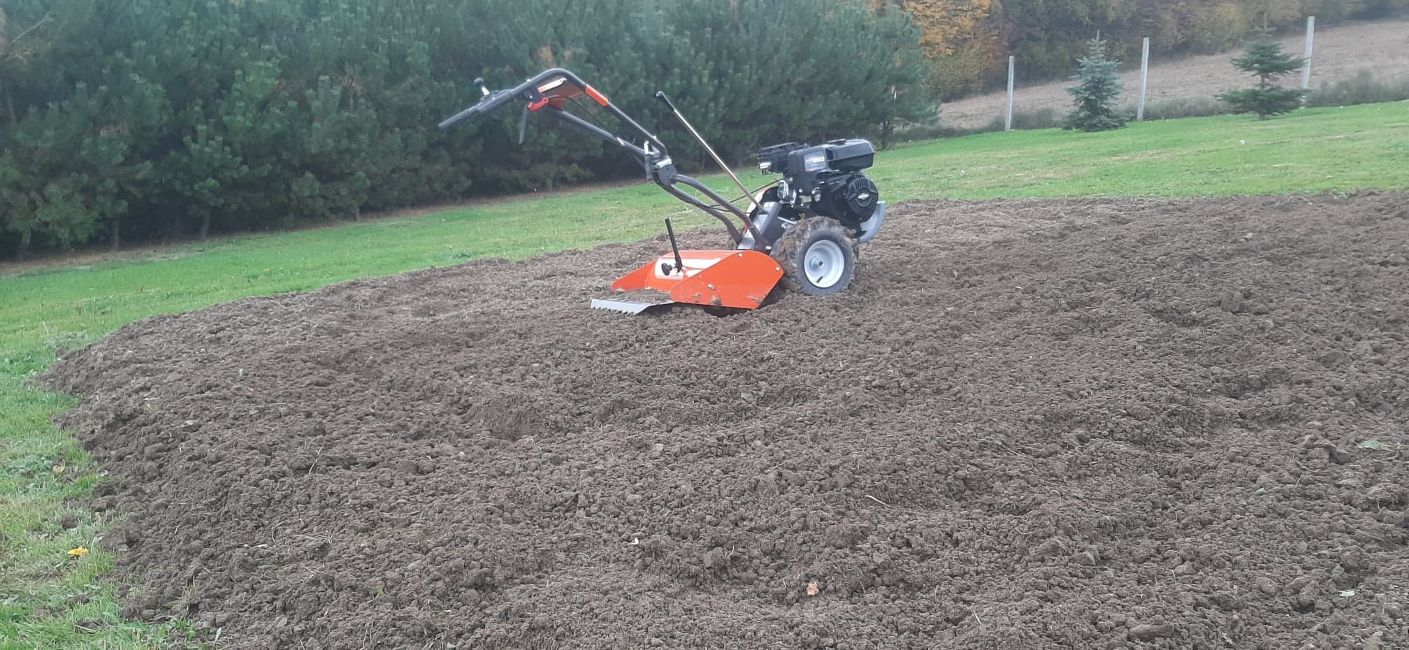 Pomarańczowy glebogryzarkę spalinową z czarnym silnikiem przygotowuje glebę na polu uprawnym, widok z boku, w tle drzewa i ogrodzenie.