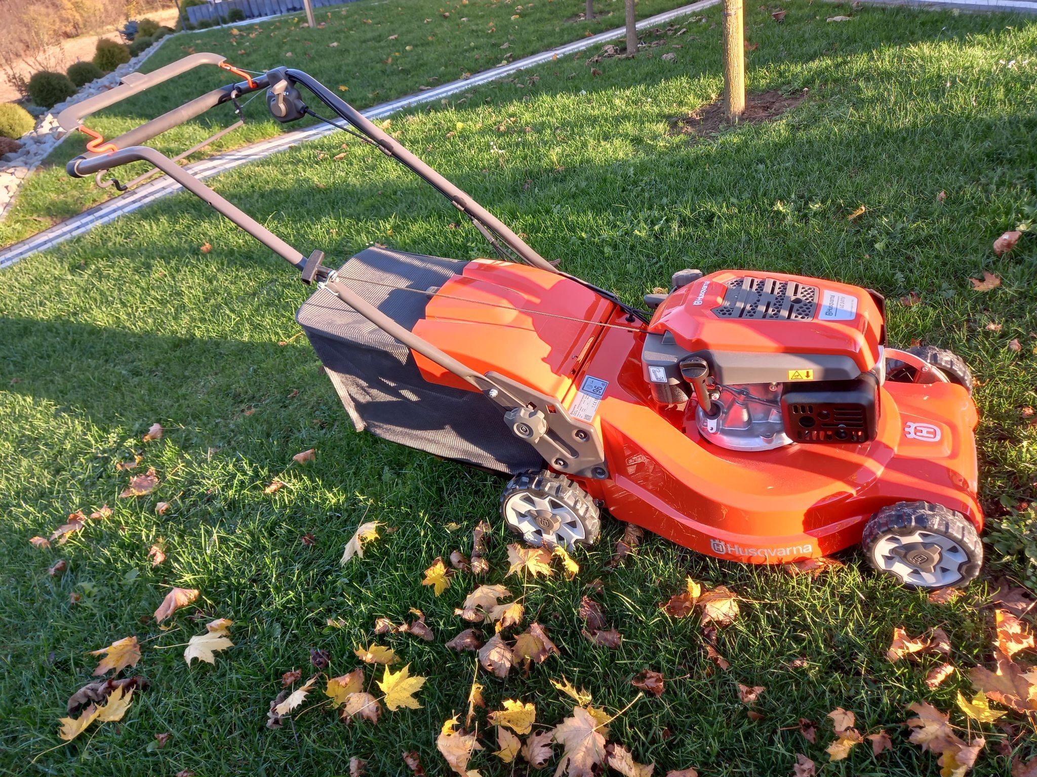 Pomarańczowa kosiarka spalinowa Husqvarna na trawniku z opadłymi liśćmi klonu w jesiennym słońcu.