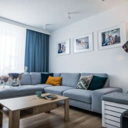 Wnętrz Projektowanie Joanna Zielińska - Jasne wnętrze salonu z szarą narożną sofą, drewnianym stolikiem kawowym z książką i kubkiem, oraz psem rasy beagle wchodzącym na sofę od strony okna z białymi firankami i niebieskimi zasłonami.