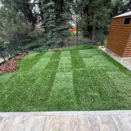 Świeżo ułożona trawa z rolki z wyraźnymi pasami po koszeniu, brązowy domek narzędziowy w tle. Widok z poziomu kostki brukowej, zielony trawnik.
