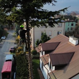 Patryk Parzys - Mycie dachów Lublin