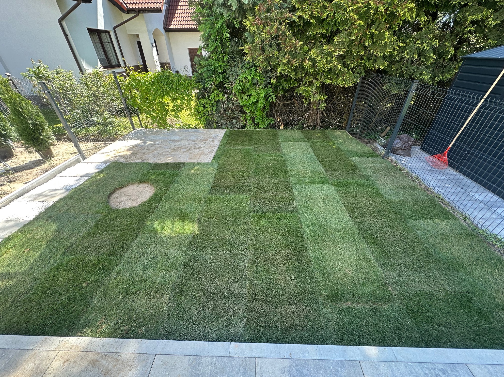 Świeżo ułożona trawa z rolki w Lublinie, z widocznymi pasami po wałowaniu, fragmentem utwardzonego terenu i ogrodzeniem siatkowym w tle.