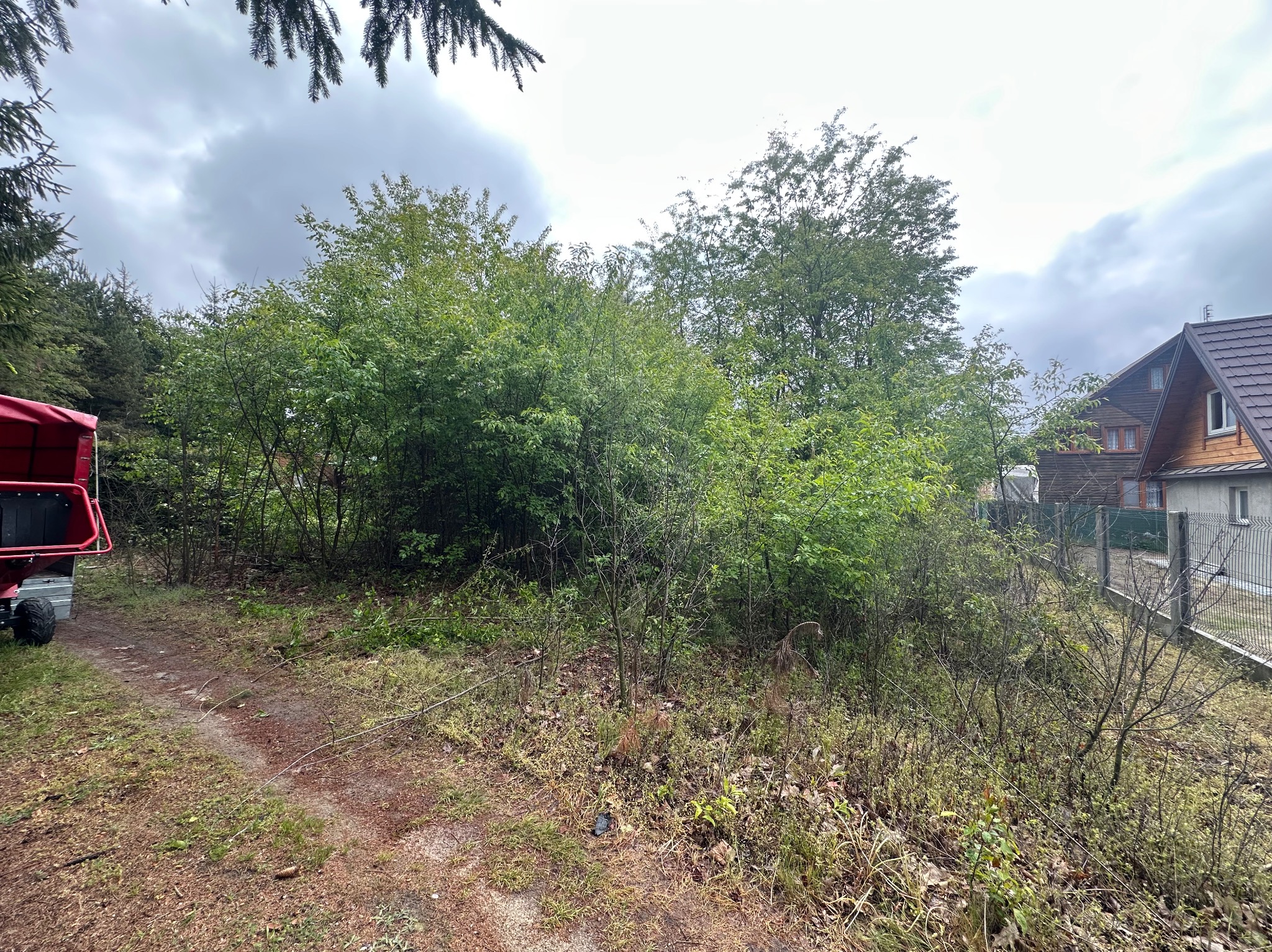 Zarośnięta działka z widocznym fragmentem czerwonego rębaka do gałęzi i domu w tle. Działka przed wycinką lub pielęgnacją, pochmurne niebo.