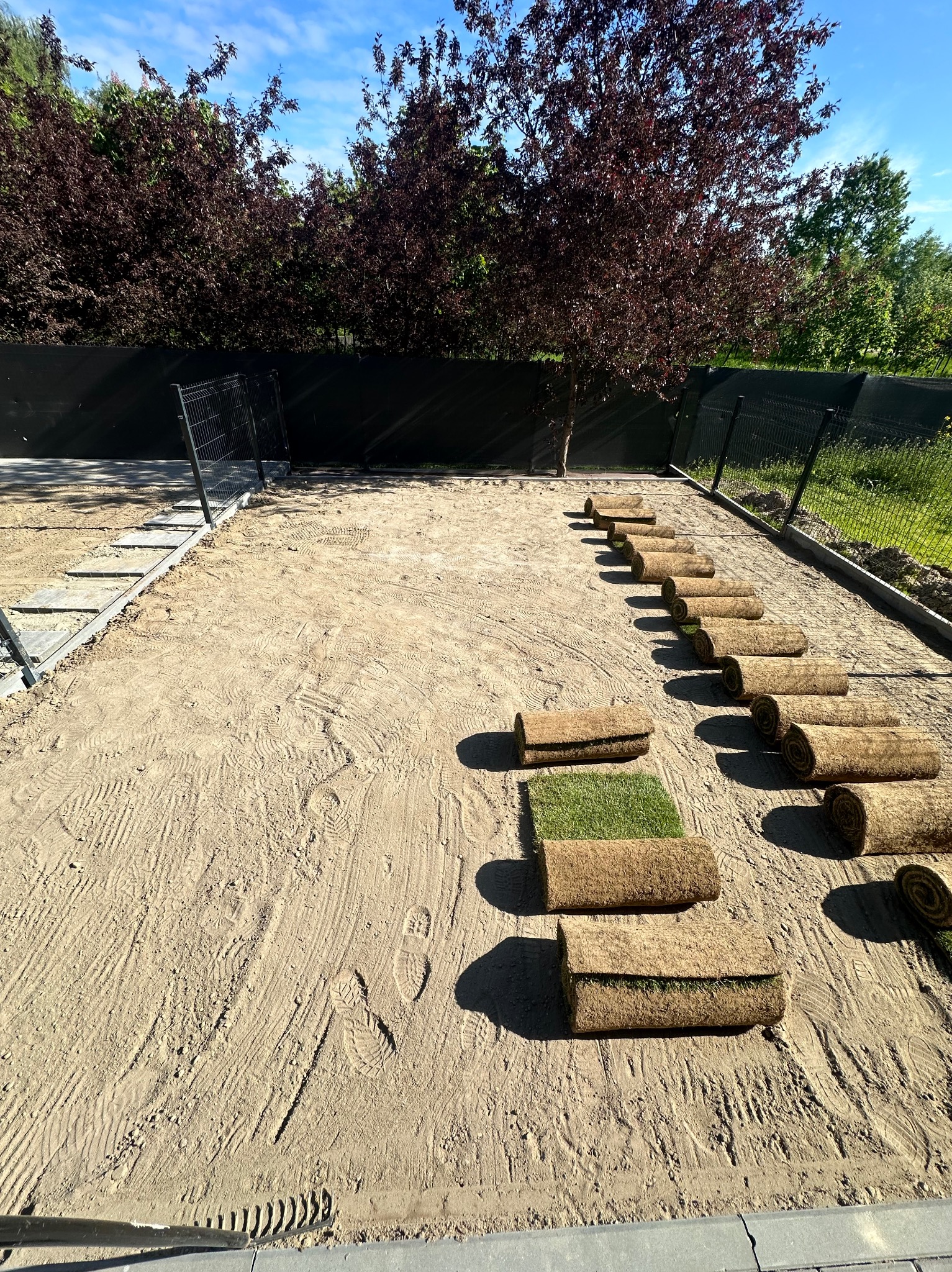 Rozłożone rolki trawy na przygotowanym podłożu z piasku, widoczne ślady stóp i fragment grabi. W tle siatka ogrodzeniowa i drzewa.