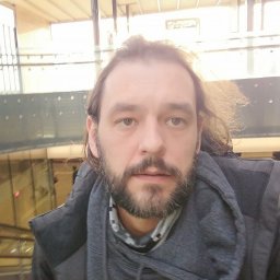 Treehouse Construction - Parkieciarstwo Dzierżoniów