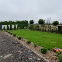 Widok na zadbany trawnik z robotem koszącym i ozdobnymi nasadzeniami wzdłuż obrzeży, w tle rząd tuj i drzew liściastych pod pochmurnym niebem.