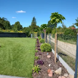 Świeżo założony trawnik z rolki, obrzeże z kostki, rabata z młodymi drzewkami katalpy, korą i kamieniami, w tle ogrodzenie panelowe i błękitne niebo.