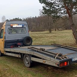 Usługi transportowe - Transport Całopojazdowy Rościno
