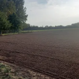 Przygotowane pole pod zasiew, widoczne ślady po maszynach rolniczych, w tle drzewa i pochmurne niebo.