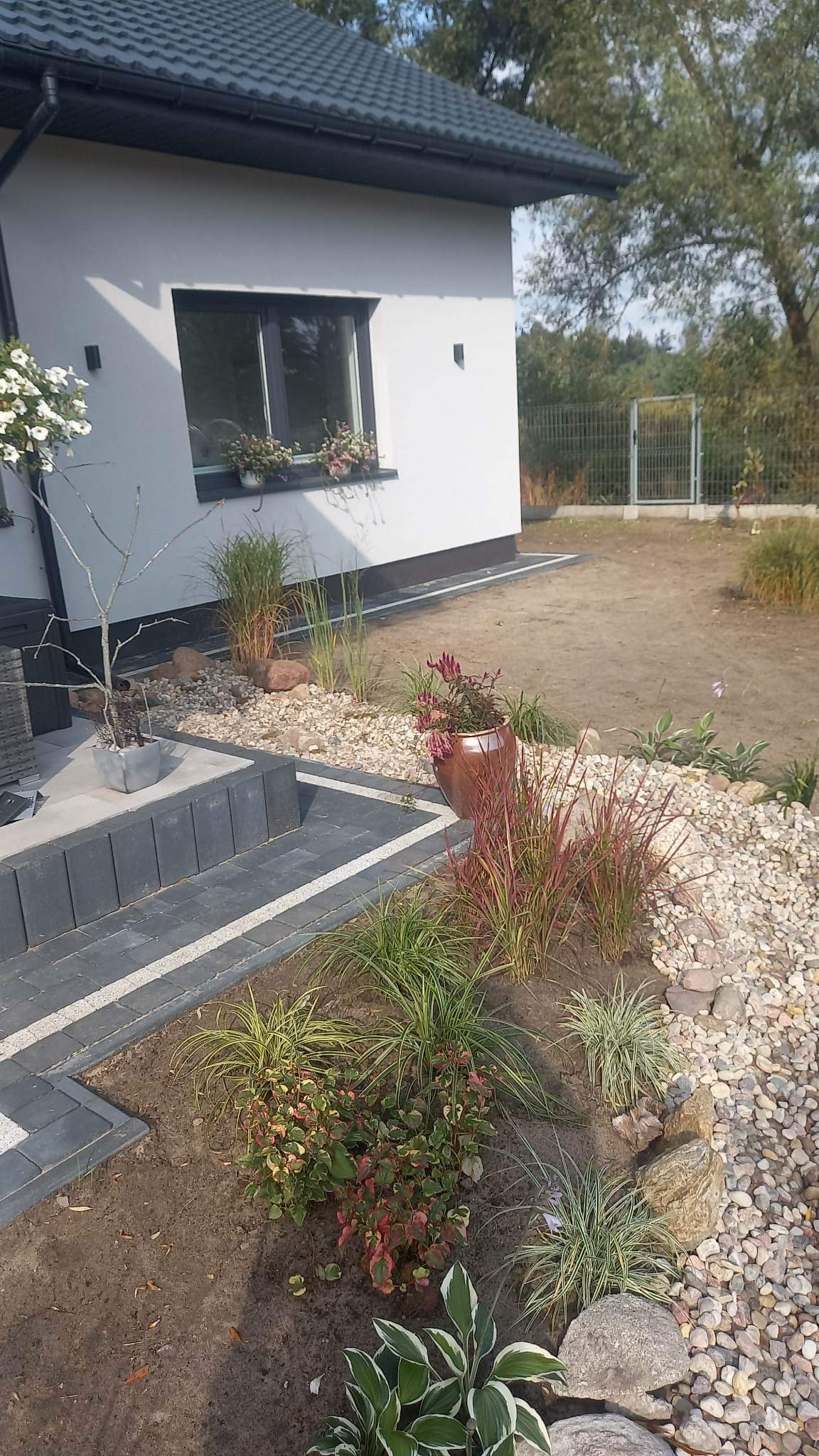 Nowoczesny ogród przydomowy z ozdobnymi trawami, rabatami wysypanymi kamykami i donicą z kwiatami, widok z poziomu gruntu na tle białego domu z szarą stolarką okienną i bramą wjazdową.