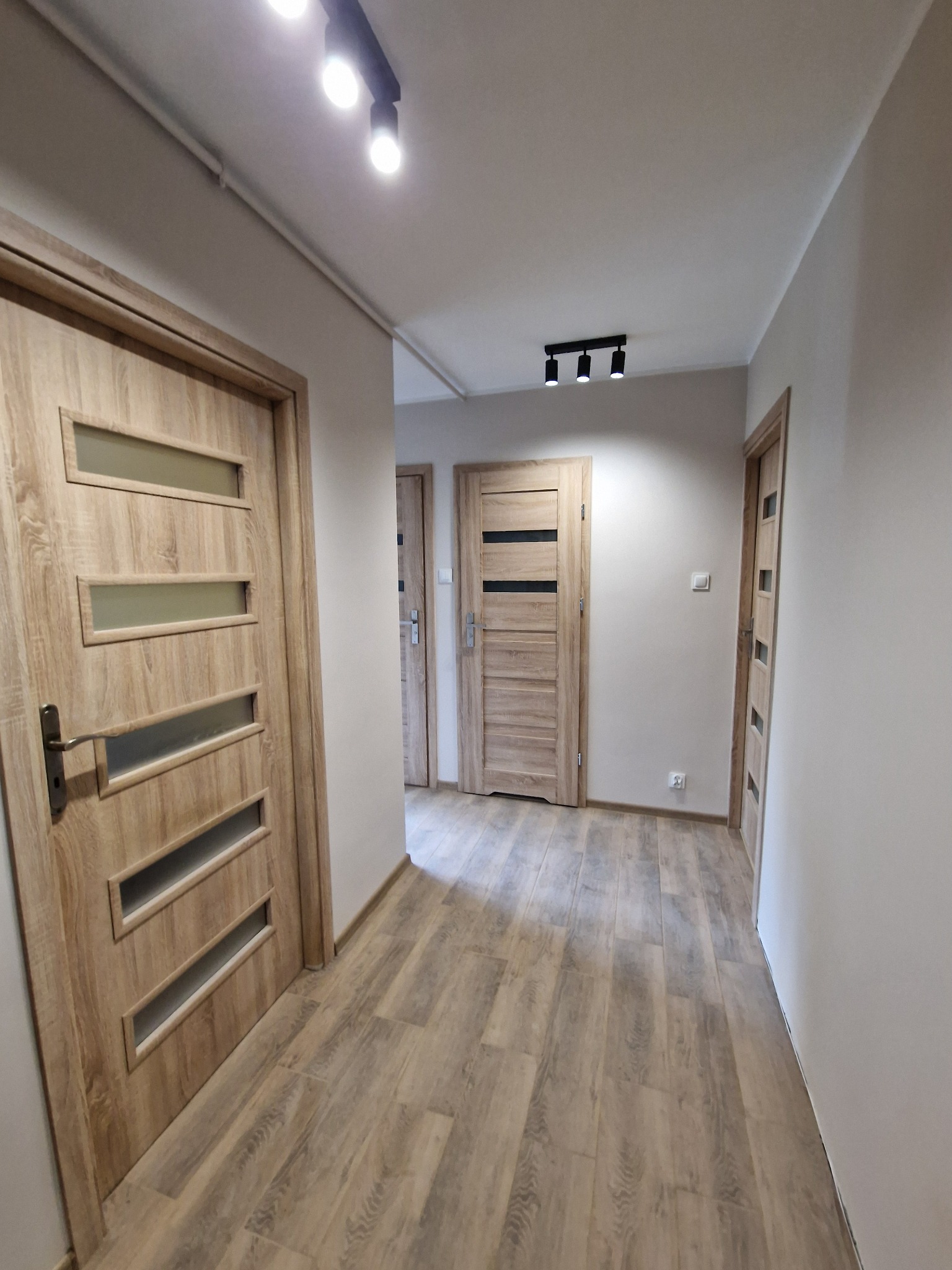 Wnętrze korytarza z trzema drewnianymi drzwiami z przeszkleniami, podłogą z paneli i nowoczesnym oświetleniem sufitowym.