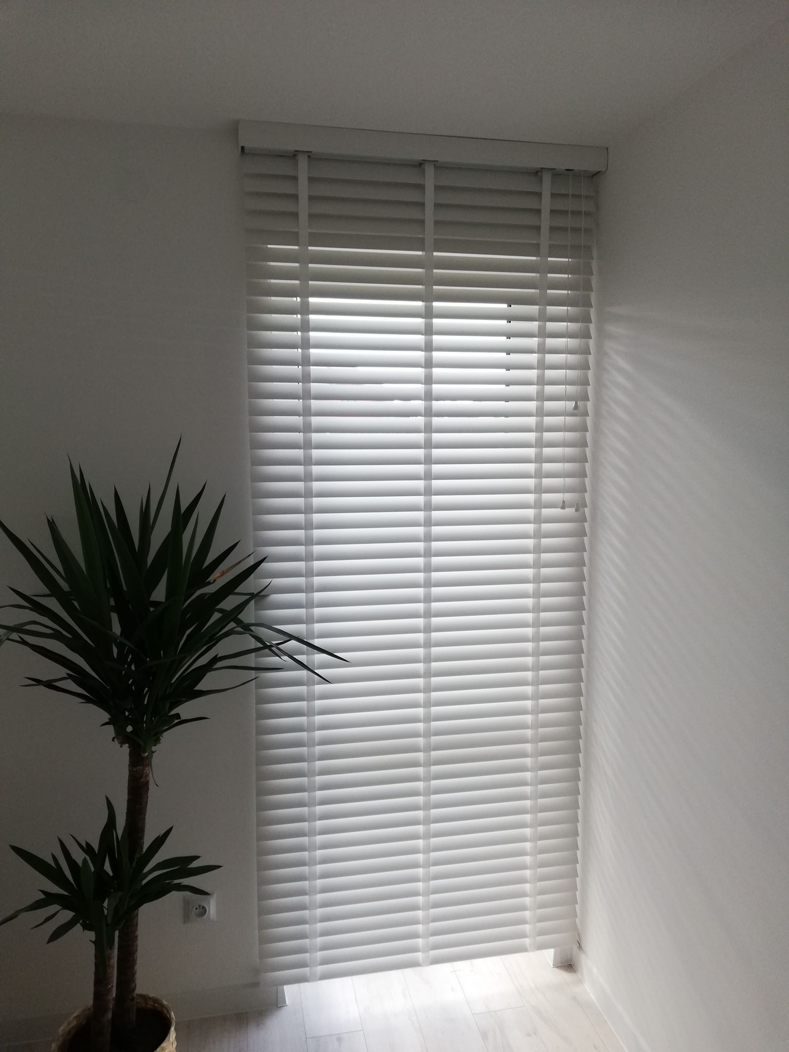 Białe żaluzje poziome z drewnianymi lamelami zamontowane w oknie, z widocznym mechanizmem sznurkowym, obok doniczka z zieloną rośliną na tle białych ścian.