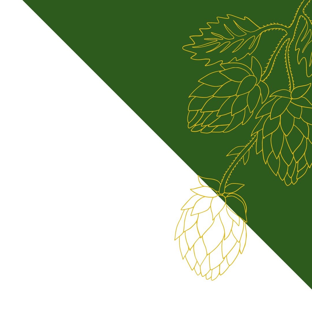 Grafika przedstawia stylizowaną gałązkę chmielu w kolorze złotym na tle podzielonym na białą i zieloną część.