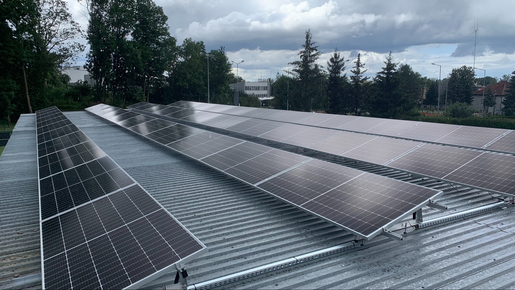 Rząd paneli słonecznych na falistym, metalowym dachu budynku z widokiem na drzewa i budynki w pochmurny dzień.