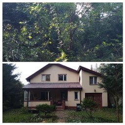 Złota rączka - chętnie przyjadę i pomogę - Dwupoziomowe zdjęcie przedstawia gęsty las u góry i dom z beżową elewacją u dołu, z widocznymi świeżo przyciętymi gałęziami na trawniku przed domem.