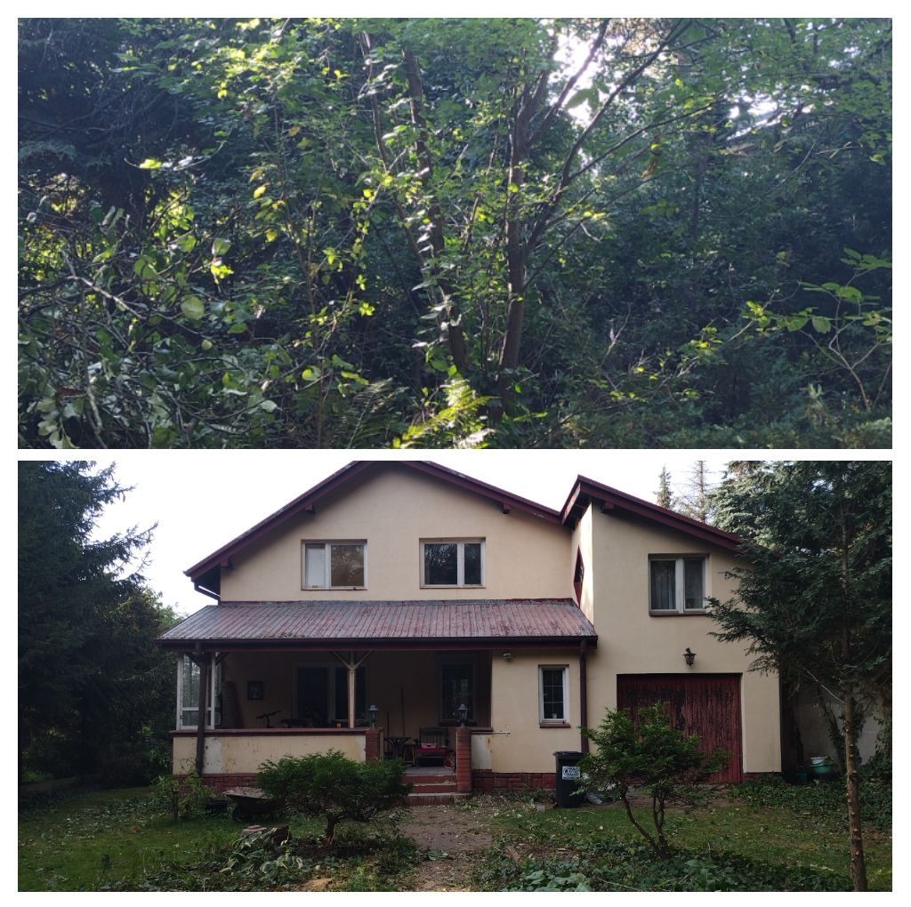 Dwupoziomowe zdjęcie przedstawia gęsty las u góry i dom z beżową elewacją u dołu, z widocznymi świeżo przyciętymi gałęziami na trawniku przed domem.