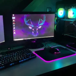 Dwa monitory z graficznymi tapetami przedstawiającymi głowy jeleni, podświetlana klawiatura i podkładka pod mysz z różową obwódką, obudowa komputera z widocznymi podzespołami i podświetleniem LED.