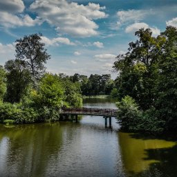 Mix Air - Pejzaż z drewnianym mostem nad jeziorem, otoczonym bujną zielenią drzew i krzewów, pod błękitnym niebem z białymi chmurami.