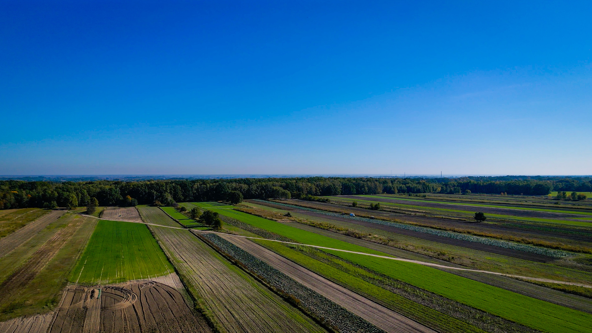 Widok z lotu ptaka na pola uprawne w geometryczne wzory, oddzielone drogami polnymi, z lasem w tle i błękitnym niebem.