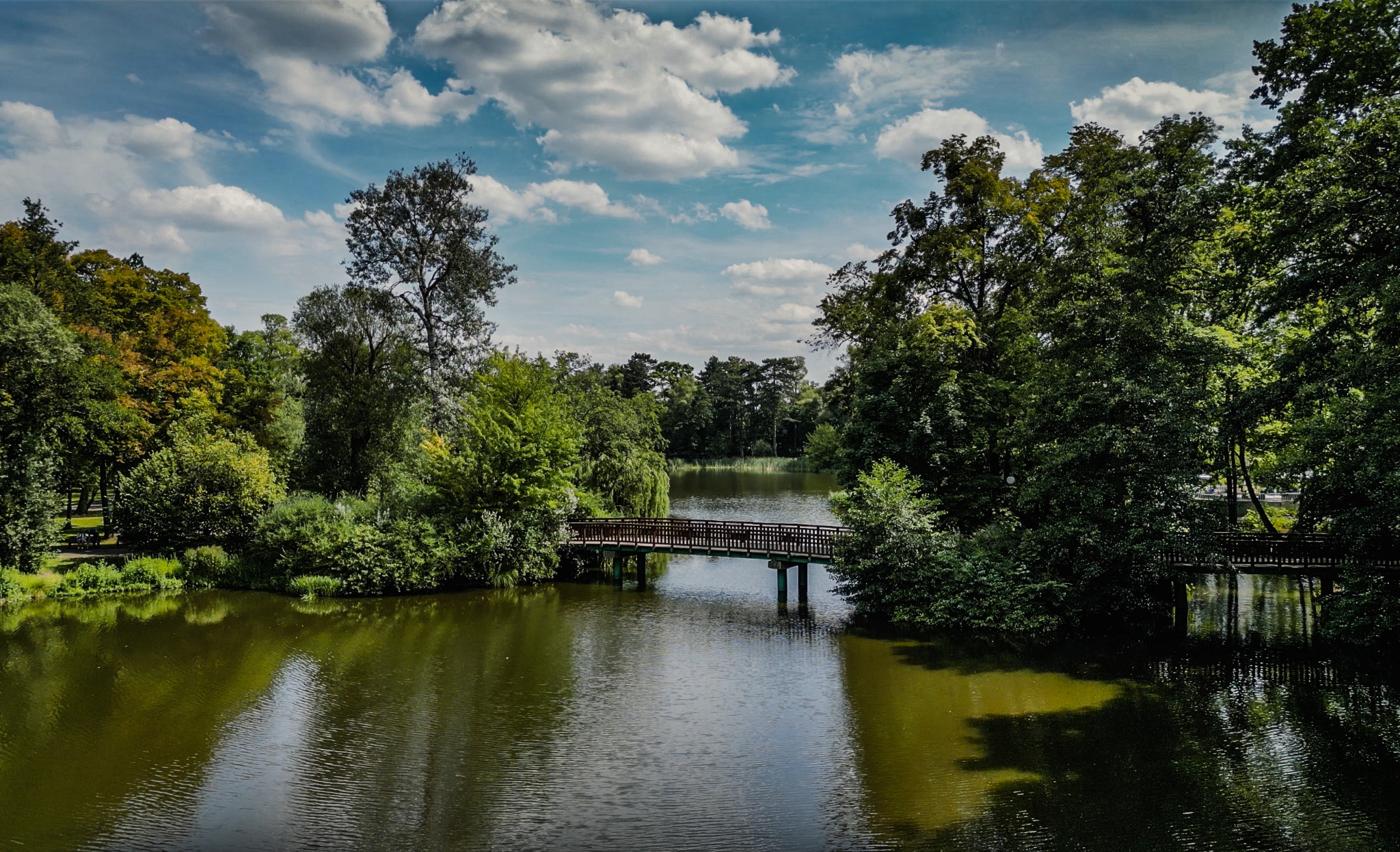 Pejzaż z drewnianym mostem nad jeziorem, otoczonym bujną zielenią drzew i krzewów, pod błękitnym niebem z białymi chmurami.