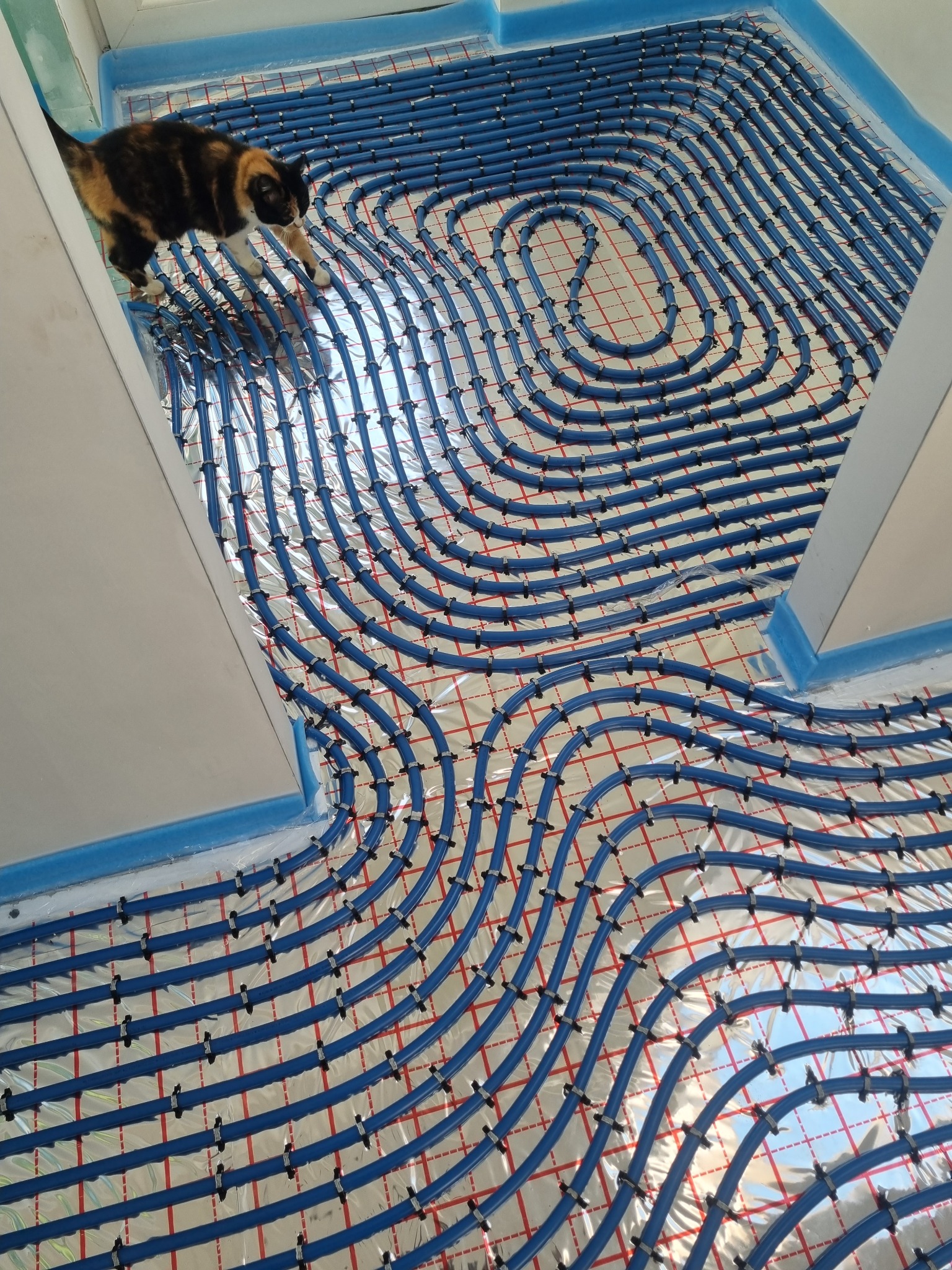 Układanie niebieskich rur ogrzewania podłogowego na folii z czerwoną kratką, zabezpieczone niebieską taśmą, z kotem przechodzącym po rurach.