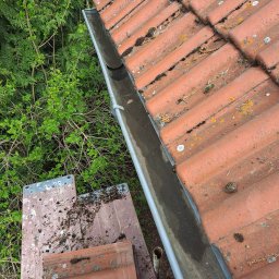Mateusz Węgielnik - Zanieczyszczona rynna z liśćmi i mchem, przylegająca do pomarańczowej dachówki, widoczna z góry, obok drabina i zieleń drzew