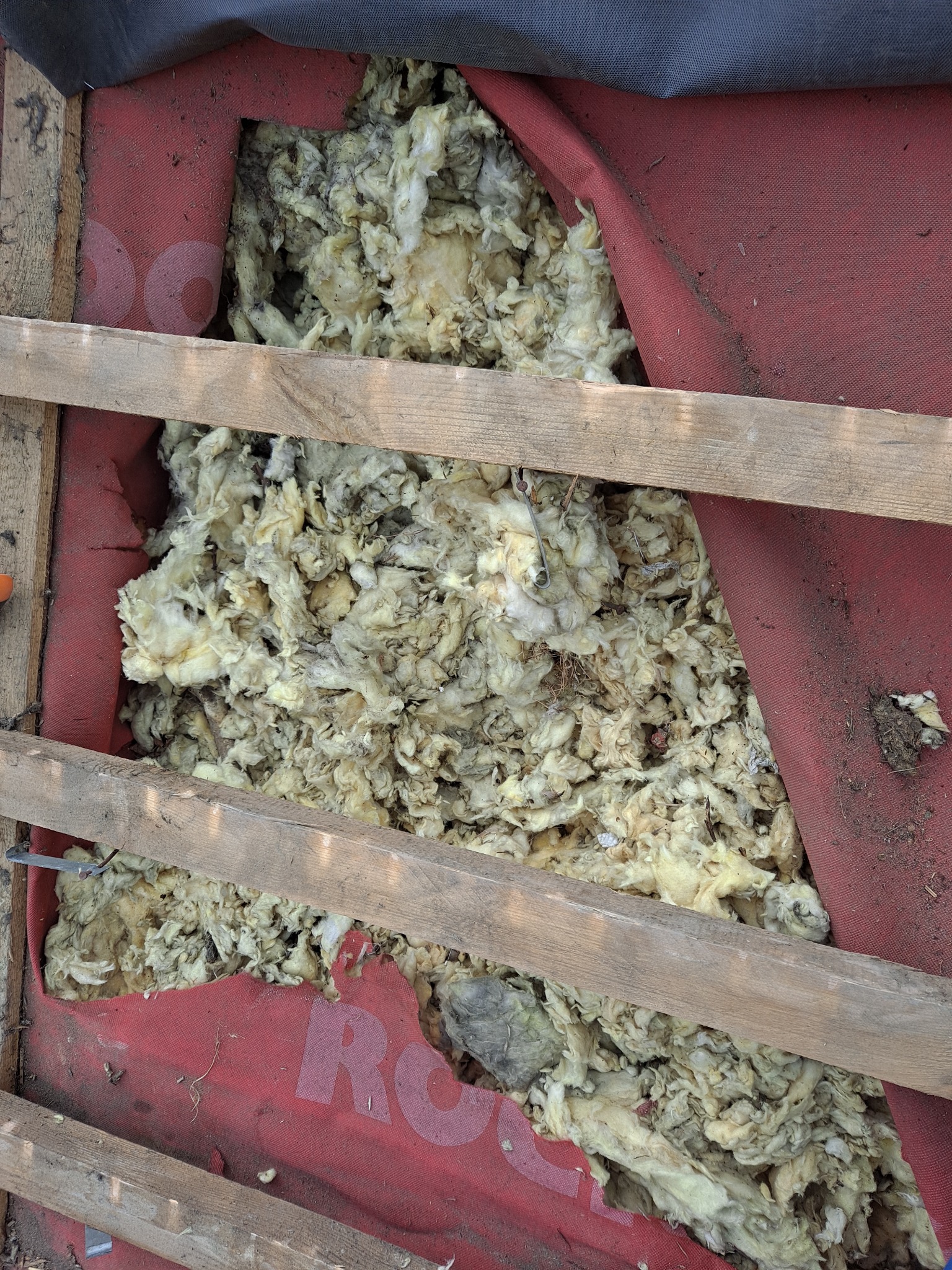 Niedokończone ocieplenie poddasza z widoczną wełną mineralną, czerwoną folią paroizolacyjną z nadrukiem i drewnianą konstrukcją szkieletową, widoczne zabrudzenia i fragmenty organiczne w izolacji.
