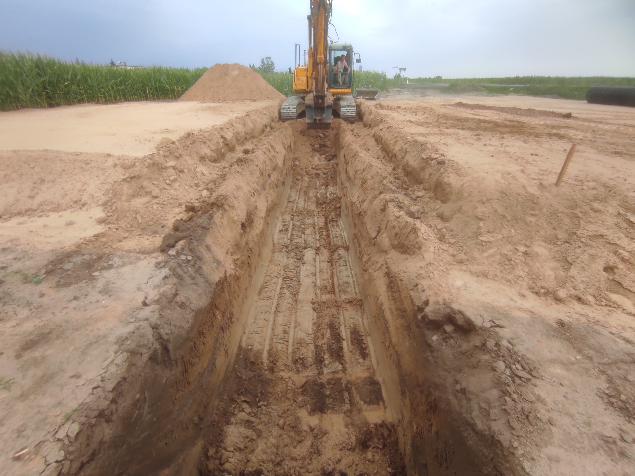 Żółta koparka gąsienicowa w trakcie wykonywania wykopu podziemnego z widocznymi śladami gąsienic na dnie wykopu; w tle pole uprawne i stos ziemi.