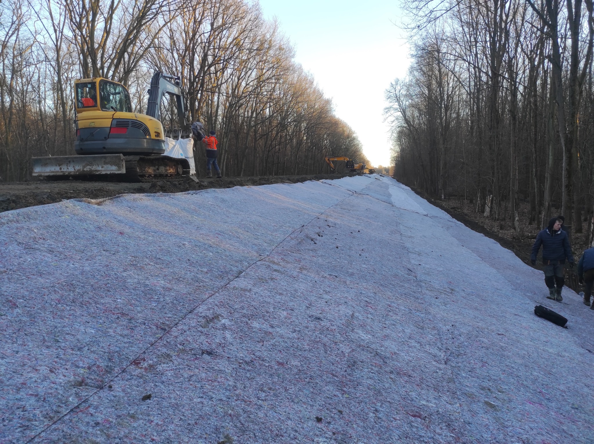Żółta koparka Volvo i pracownicy układają geowłókninę na przygotowanym podłożu, w tle widoczny pas drzew