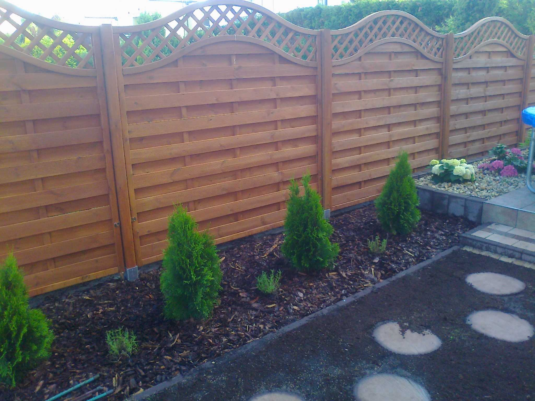 Nowo posadzone, małe tuje wzdłuż drewnianego płotu z ozdobną kratką na górze, świeżo wysypane korą, z przygotowanymi okrągłymi miejscami na trawnik.