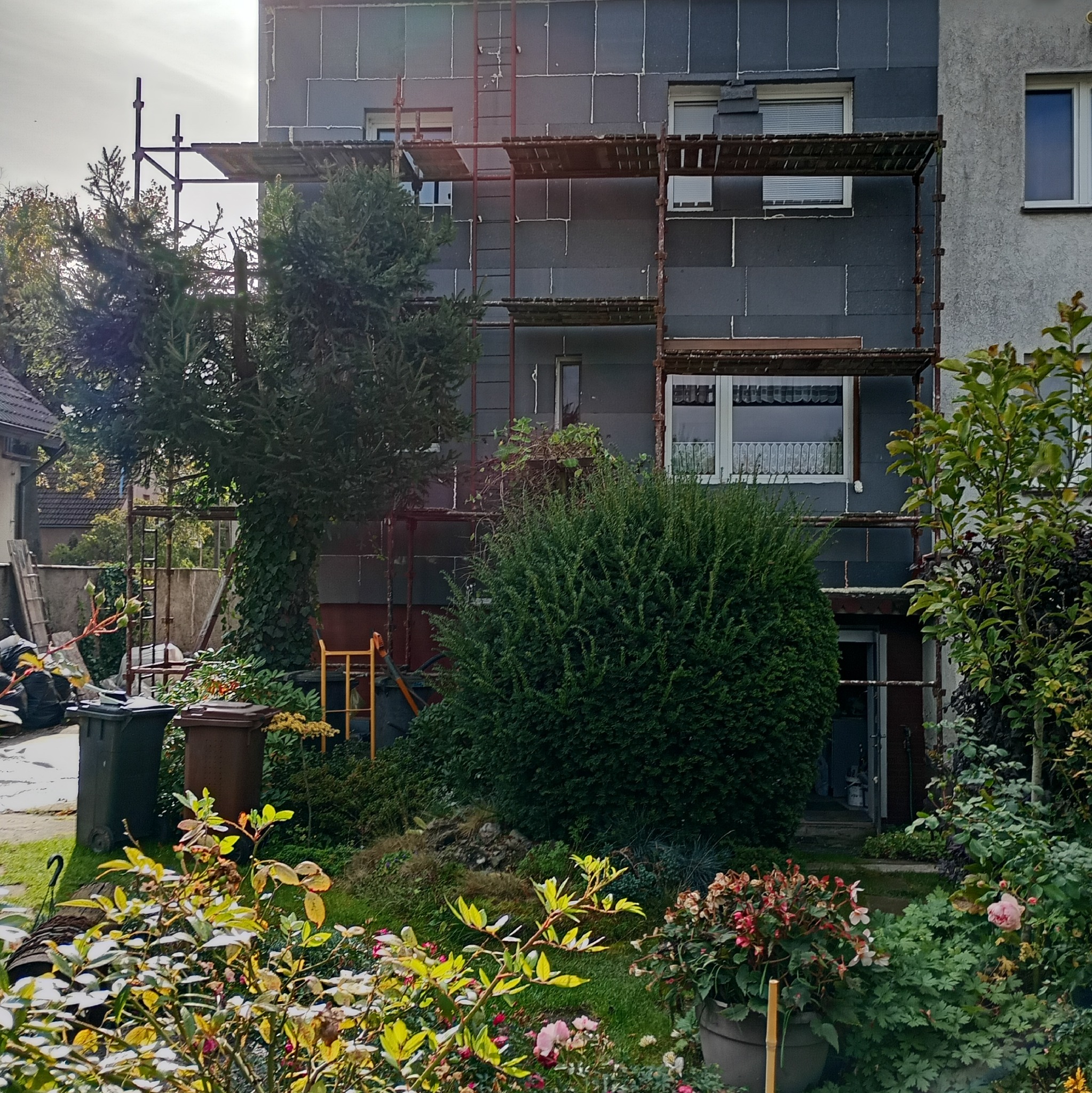 Ocieplanie szarej elewacji budynku z rusztowaniem, widok z ogrodu z bujną roślinnością. Częściowo ocieplona ściana, okna z roletami.