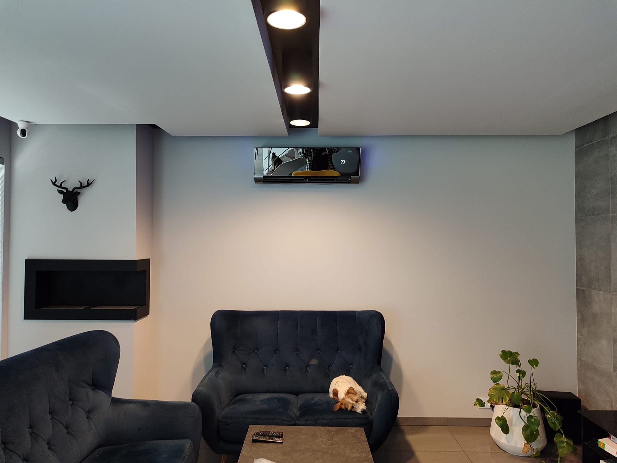Nowoczesny salon z zainstalowanym klimatyzatorem, z czarną obudową, wyświetlającym temperaturę 23 stopnie, zawieszonym nad ciemnoniebieską sofą z leżącym psem. Na ścianie dekoracja w kształcie...