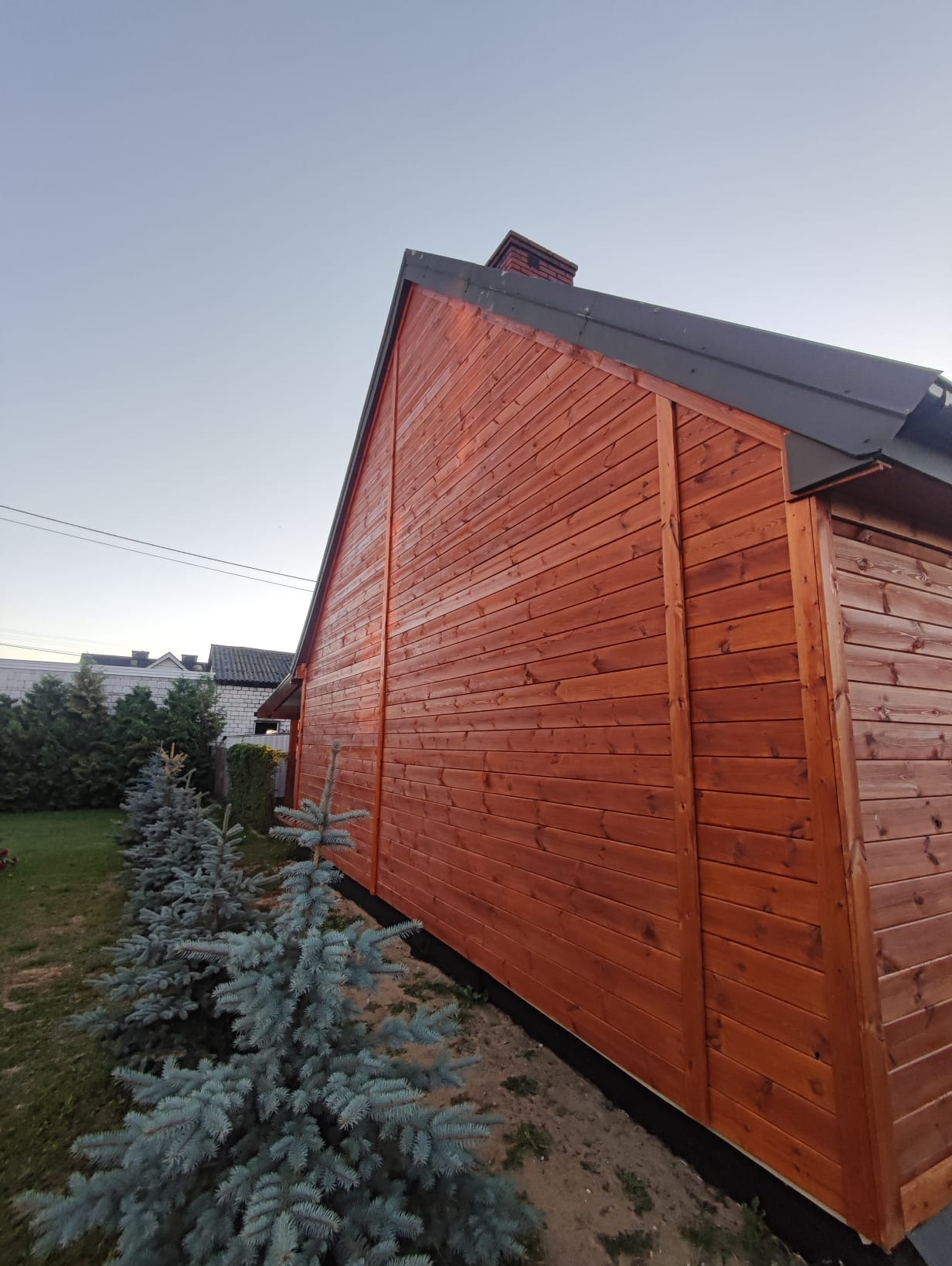 Ciepły odcień drewna na elewacji domu z bali, widok z boku, z kominem i młodymi świerkami wzdłuż ściany. Ujęcie z dołu podkreśla wysokość budynku.