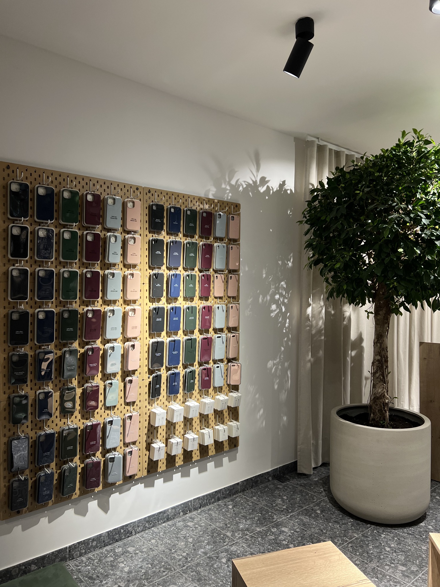 Ekspozycja różnokolorowych etui na telefony komórkowe zawieszonych na perforowanej płycie, z doniczką z drzewkiem obok.