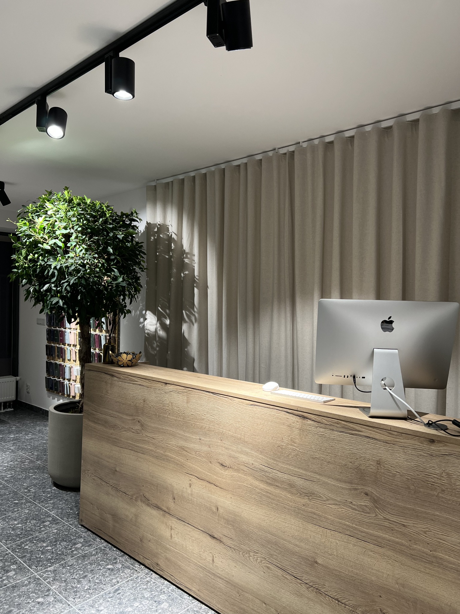 Recepcja z komputerem iMac, drewnianym blatem, rośliną w donicy i ścianą obłożoną etui na telefony.
