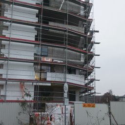 Glazurnik Golub-Dobrzyń 1