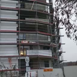 Glazurnik Golub-Dobrzyń 2