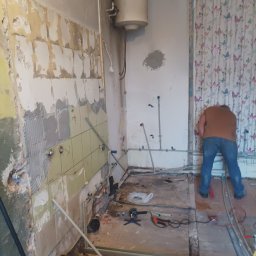 Glazurnik Golub-Dobrzyń 3