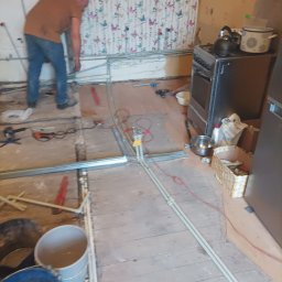 Glazurnik Golub-Dobrzyń 4