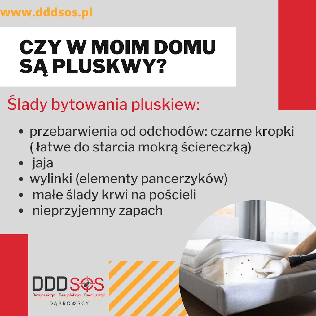 Infografika informująca o śladach bytowania pluskiew, z listą objawów takich jak czarne kropki, jaja, wylinki, ślady krwi na pościeli i nieprzyjemny zapach. W tle fragment materaca czyszczonego...