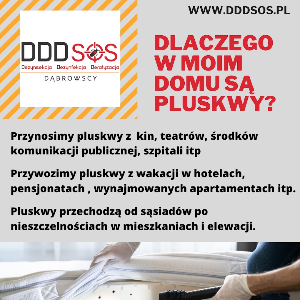 Grafika informacyjna: Dlaczego w moim domu są pluskwy? Tekst objaśnia skąd się biorą pluskwy w domu. U dołu fragment materaca i dłoń w rękawicy ochronnej z dyszą odkurzacza.