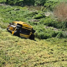 Wycinka drzew Chojnów 4