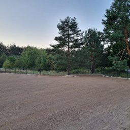 Wycinka drzew Chojnów 2