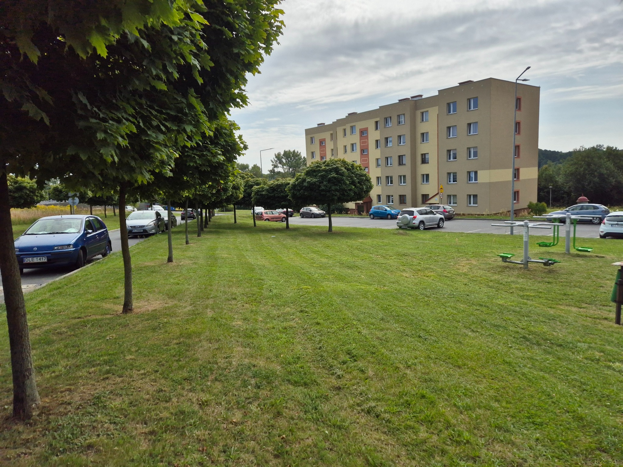 Równy trawnik po koszeniu w Chojnowie, z rzędem drzew o kulistych koronach wzdłuż parkingu i bloku mieszkalnego w tle.