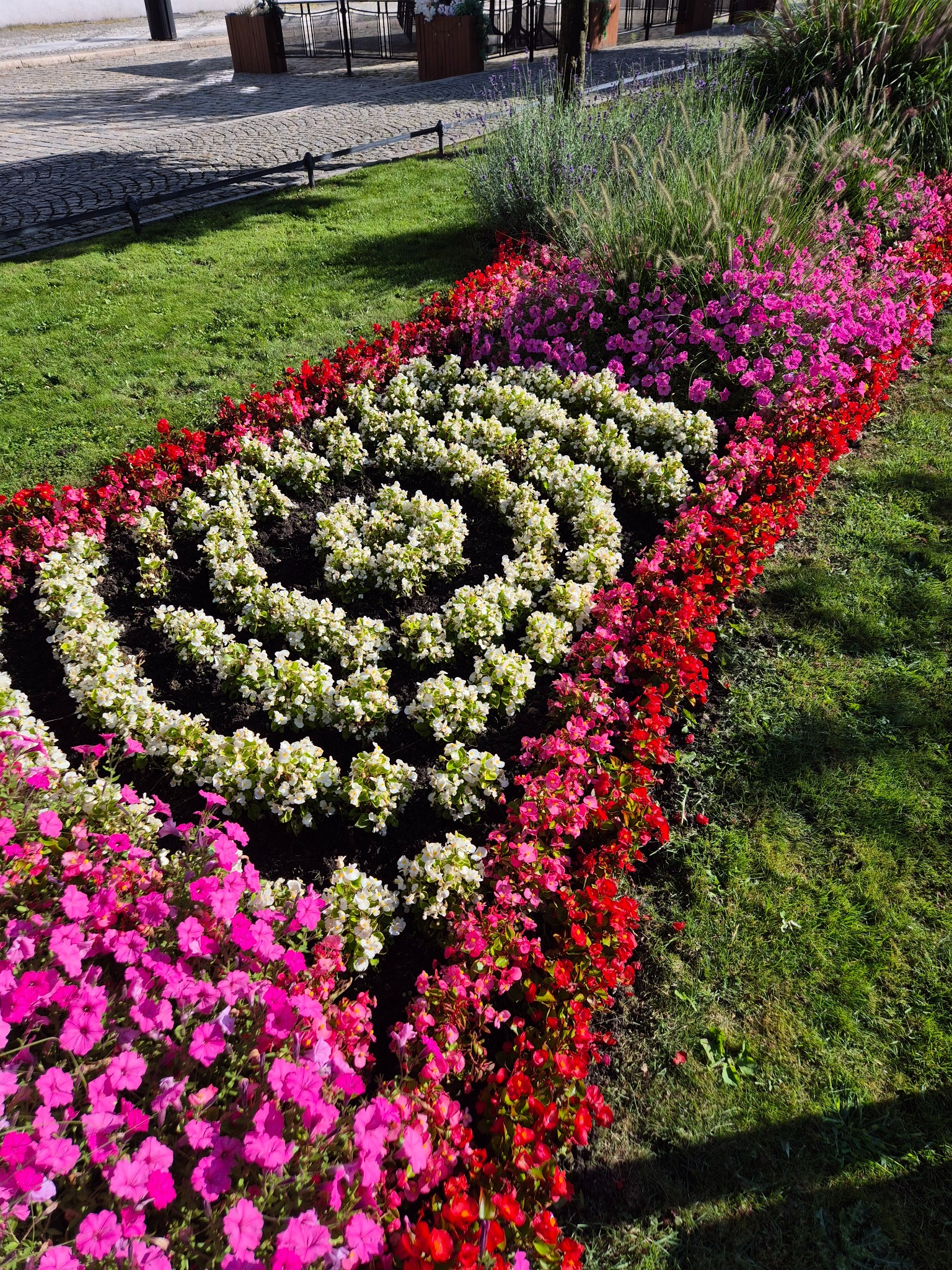 Rabata kwiatowa z białymi kwiatami ułożonymi spiralnie, obrzeża z czerwonych i różowych kwiatów, trawa i ozdobne trawy w tle.
