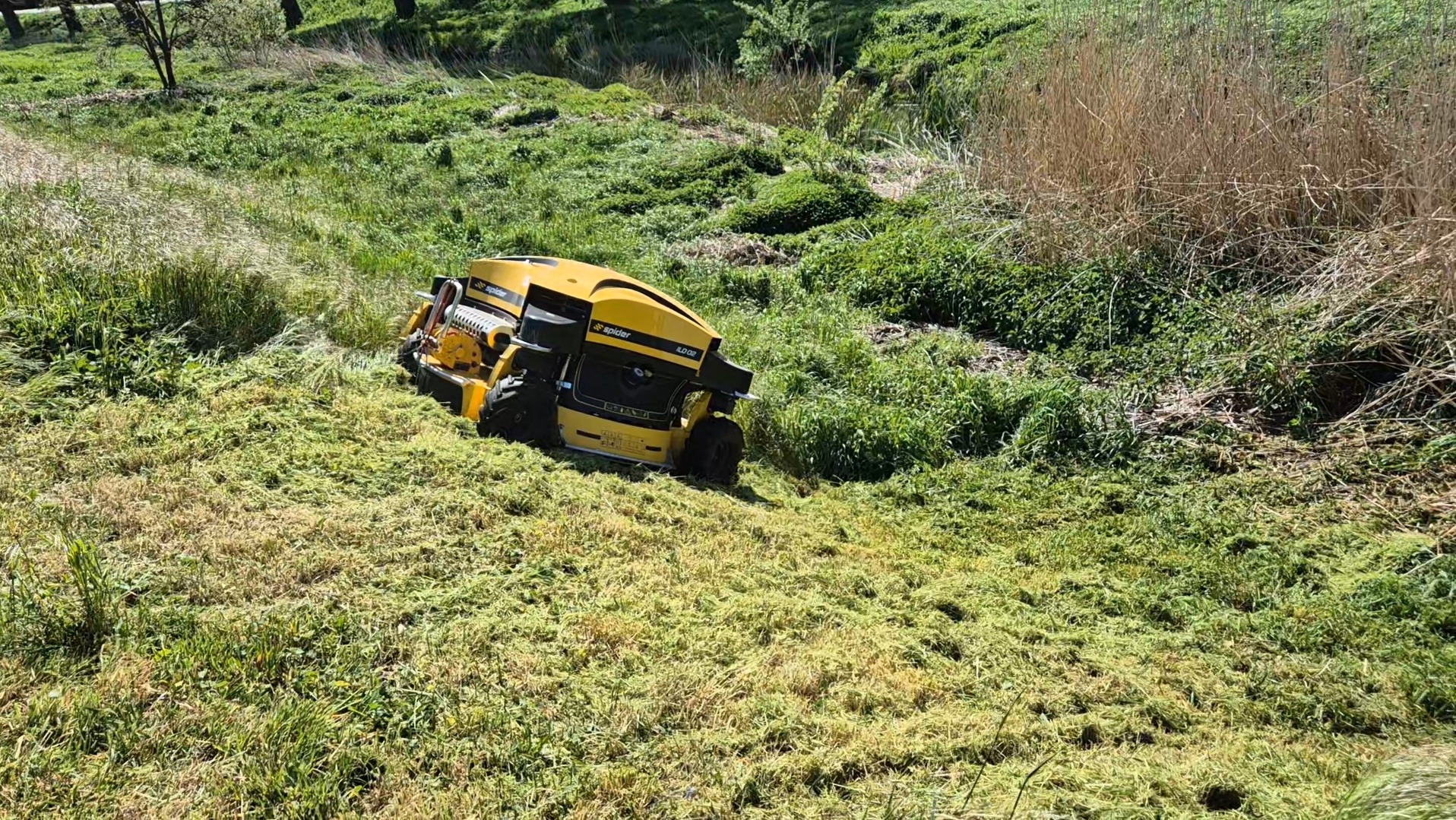 Żółta kosiarka automatyczna Spider ILD02 na nierównym terenie, po koszeniu widoczna ścięta trawa, w tle zarośla i drzewa.