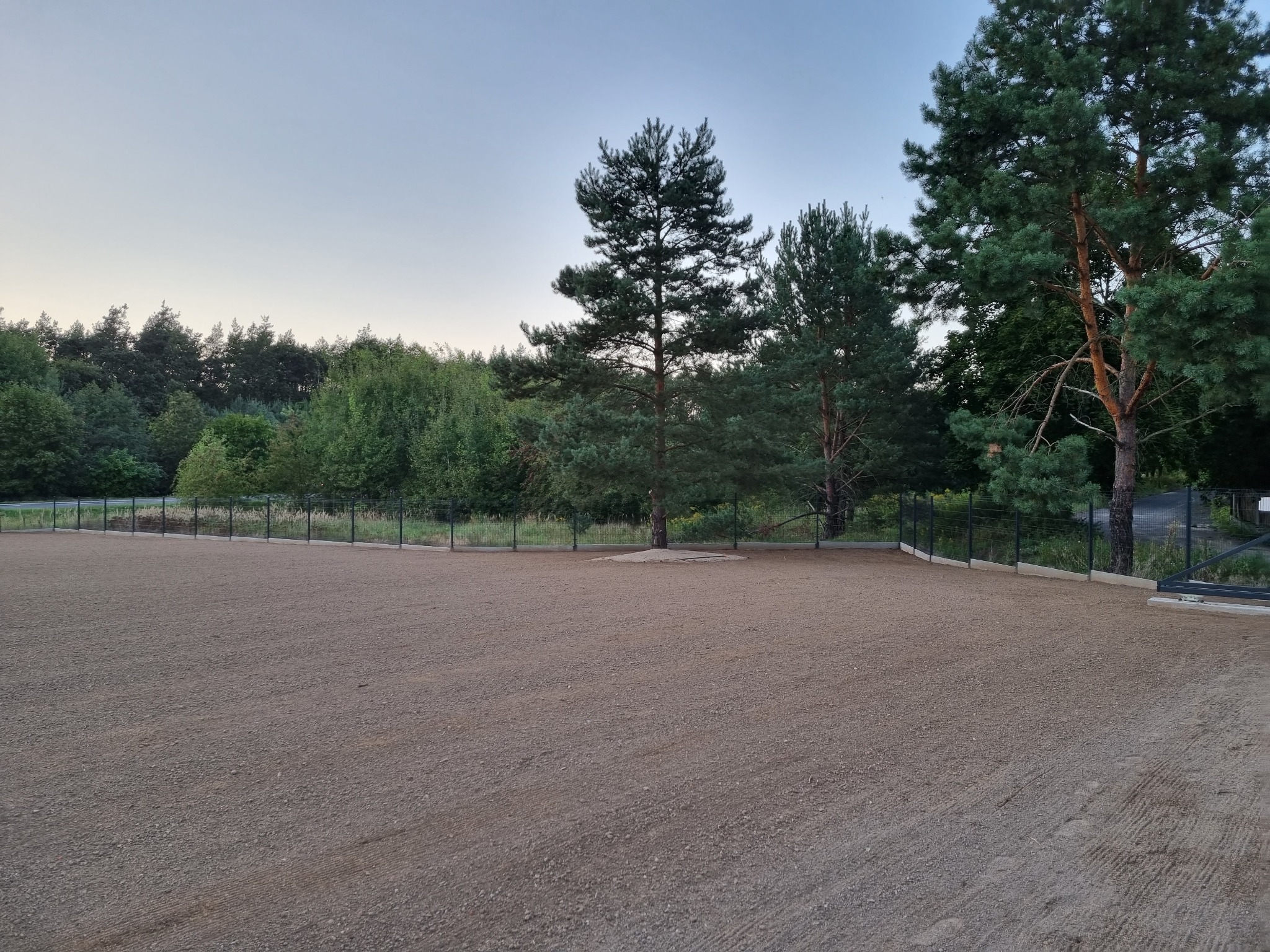 Wyrównany teren pokryty drobnym żwirem, otoczony niskim ogrodzeniem z siatki i drzewami iglastymi w tle, wykonany przy zachodzącym słońcu.