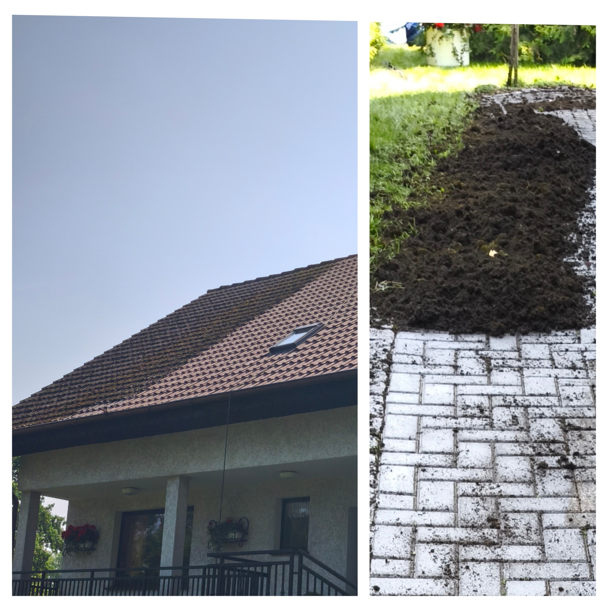 Porównanie: dach z mchem i czysta kostka brukowa. Widoczny fragment domu z balkonem i oknem dachowym. Kontrast stanu przed i po czyszczeniu.