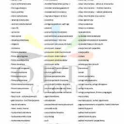 jakie biznesy ostatnio finansowaliśmy?